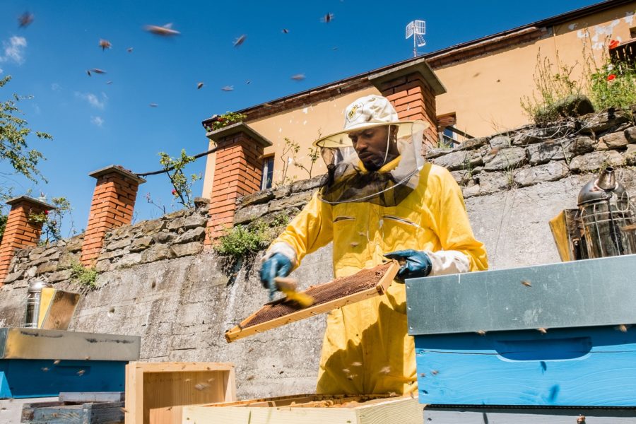 Un 2018 di crescita e conferme, Bee My Job fa scuola in Italia